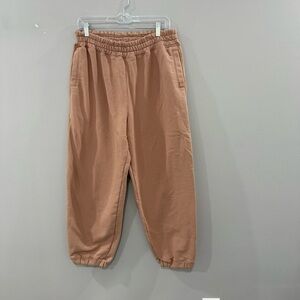 Lunya Jogger Sweatpants in Tan